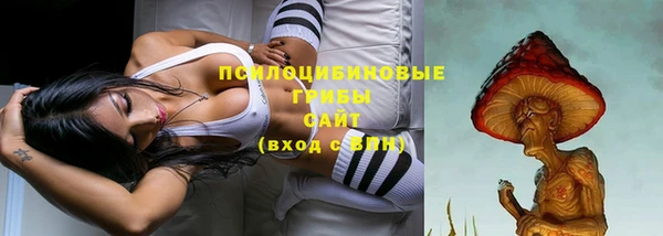 гидропоника Баксан