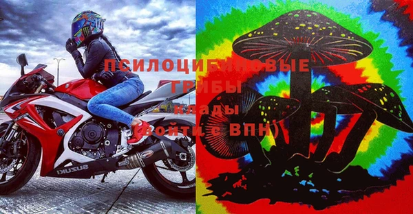 мдпв Балахна