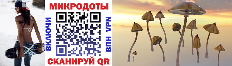 купить   мега как войти  Псилоцибиновые грибы Magic Shrooms  Нефтекумск 